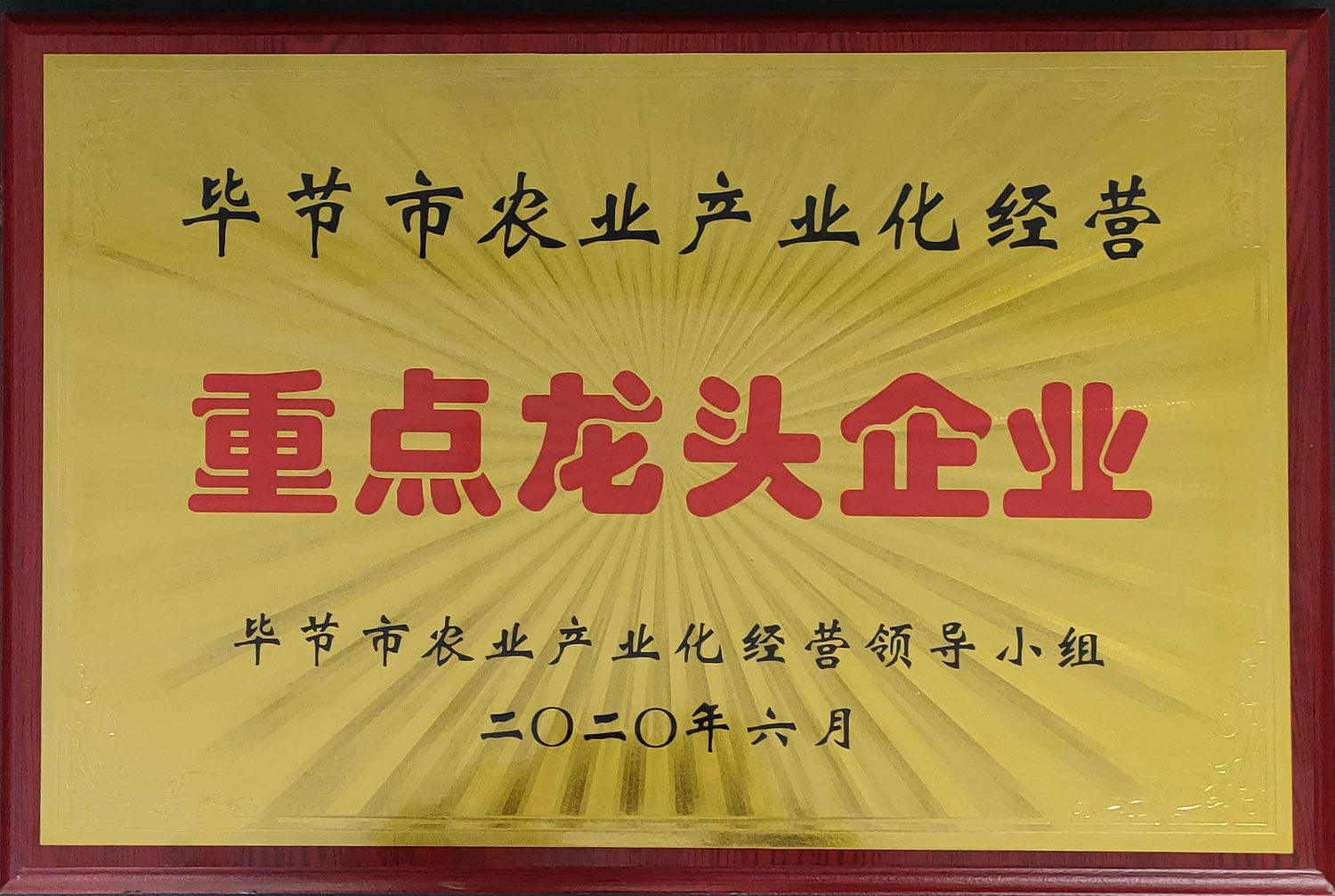 畢節(jié)農(nóng)業(yè)產(chǎn)業(yè)化經(jīng)營重點龍頭企業(yè)
