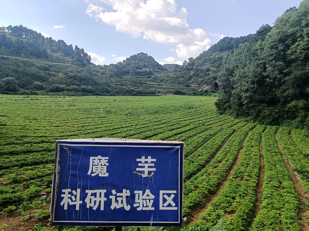種植基地